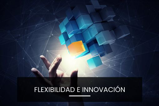 Flexibilidad e innovación